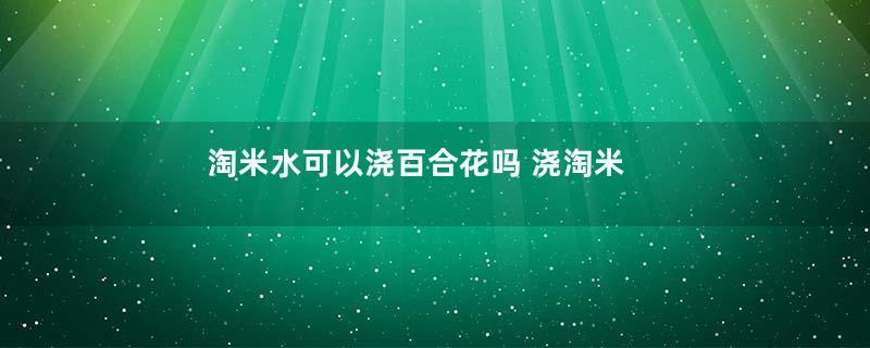 淘米水可以浇百合花吗 浇淘米水正确方法